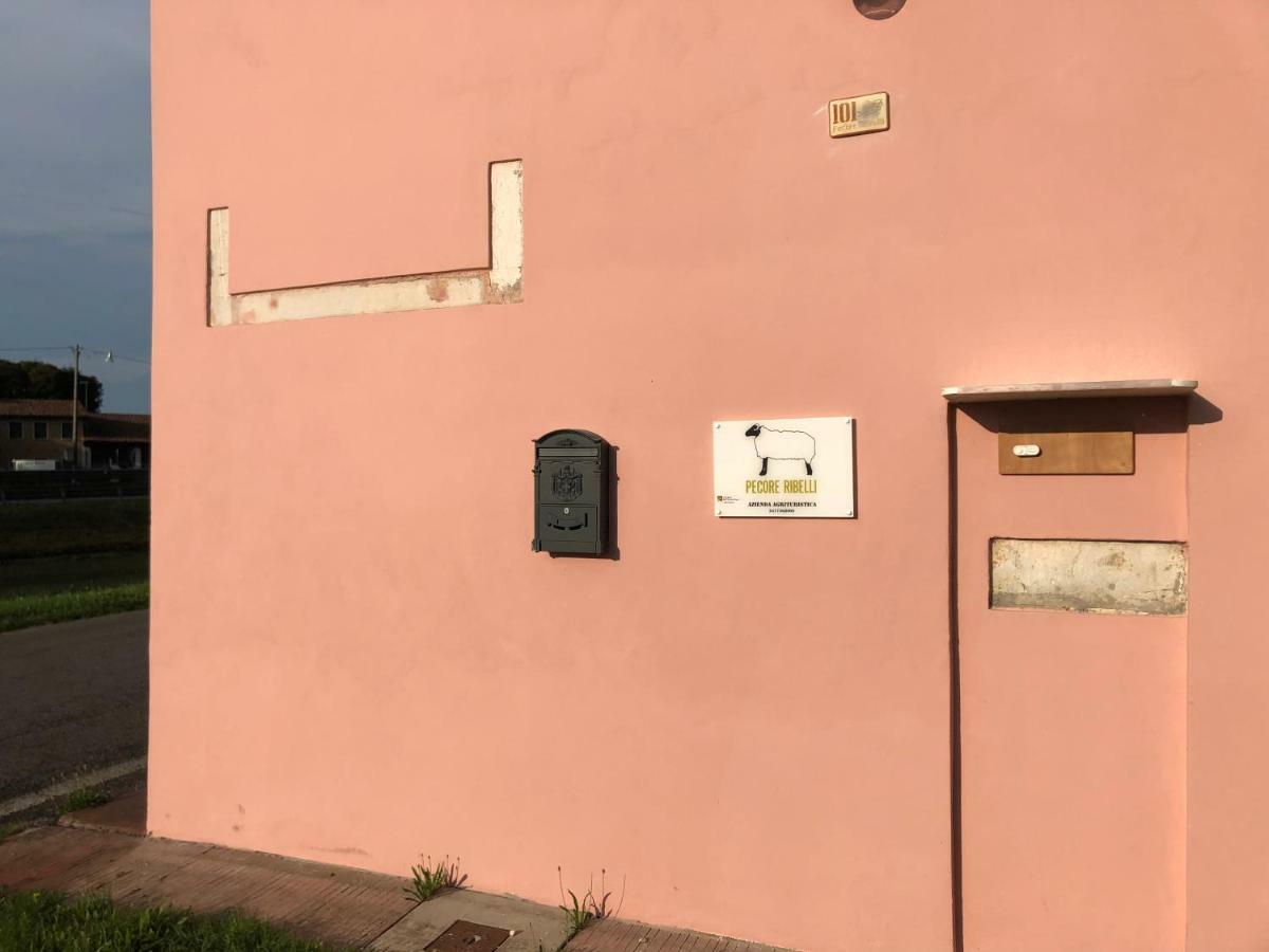 Pecore Ribelli Mira Eksteriør bilde